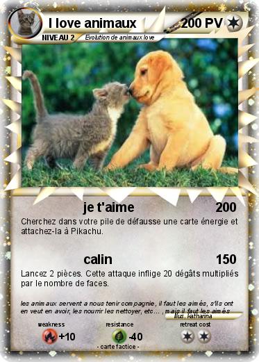 Pokemon I love animaux