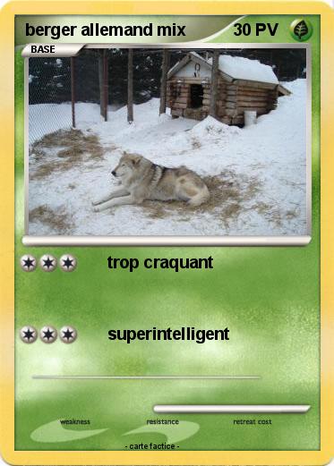 Pokemon berger allemand mix