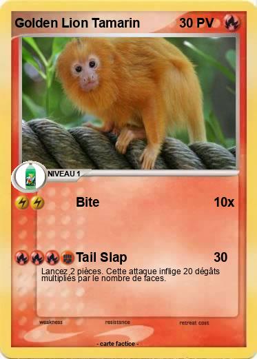 Pokemon Golden Lion Tamarin