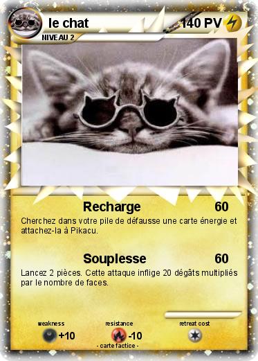 Pokemon le chat