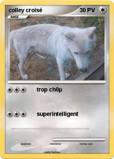 Pokemon colley croisé