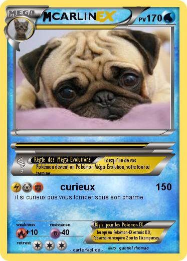 Pokemon CARLIN