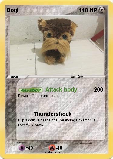 Pokemon Dogi
