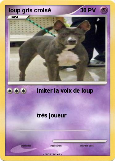 Pokemon loup gris croisé