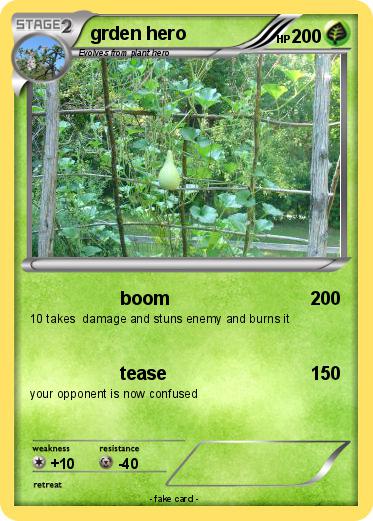Pokemon grden hero