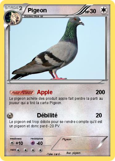 Pokemon Pigeon