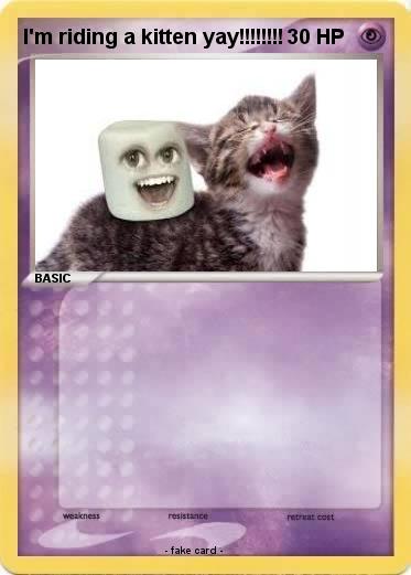 Pokemon I'm riding a kitten yay!!!!!!!!