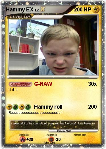Pokemon Hammy EX