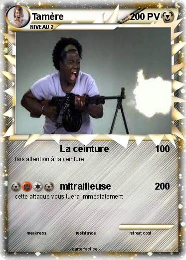 Pokemon Tamère