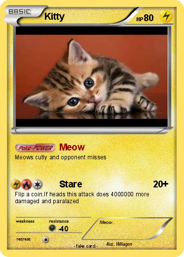 Pokemon Kitty