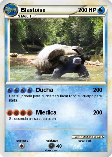 Pokemon Blastoise