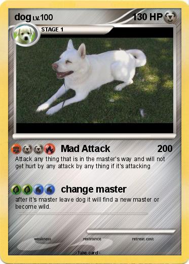 Pokemon dog