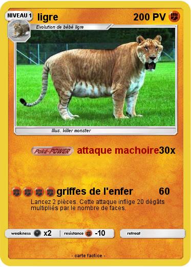 Pokemon ligre