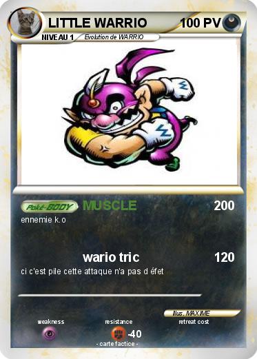 Pokemon LITTLE WARRIO