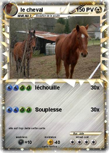 Pokemon le cheval
