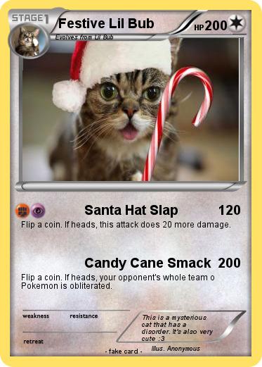 Pokemon Festive Lil Bub