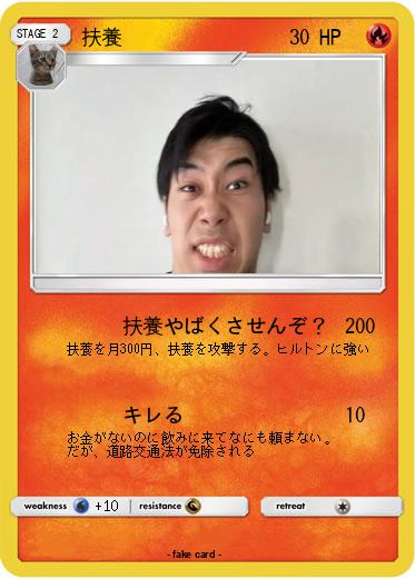 Pokemon 扶養