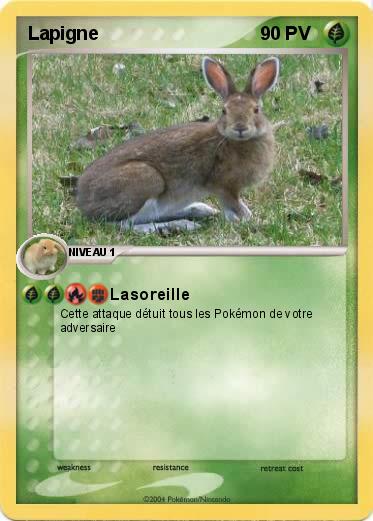 Pokemon Lapigne