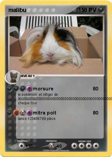 Pokemon malibu  