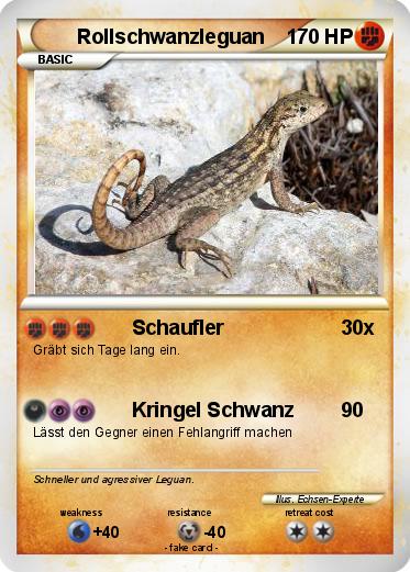 Pokemon Rollschwanzleguan