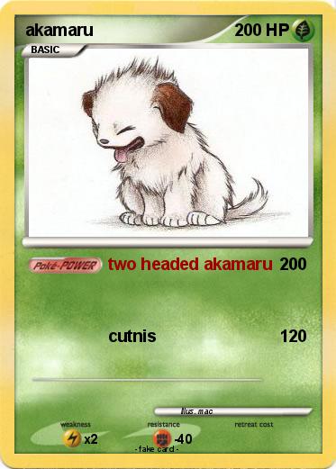 Pokemon akamaru