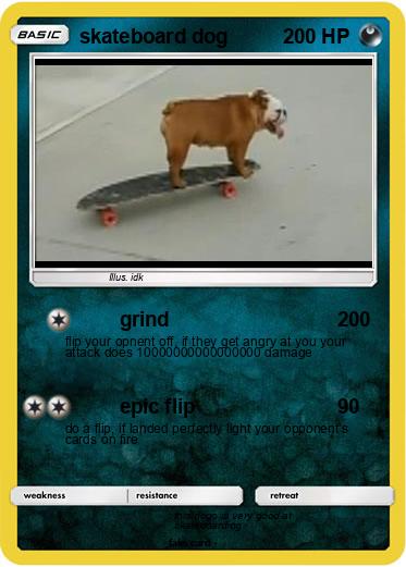 Pokemon skateboard dog