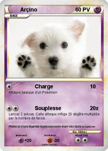 Pokemon Arçino