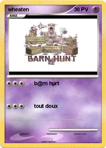 Pokemon wheaten