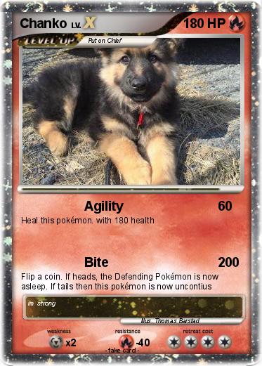 Pokemon Chanko