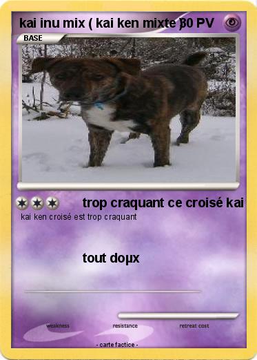 Pokemon kai inu mix ( kai ken mixte )