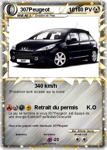 Pokemon 307Peugeot             10