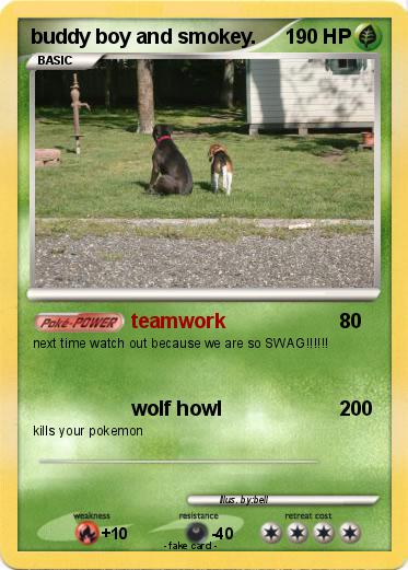 Pokemon buddy boy and smokey.