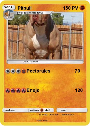 Pokemon Pitbull