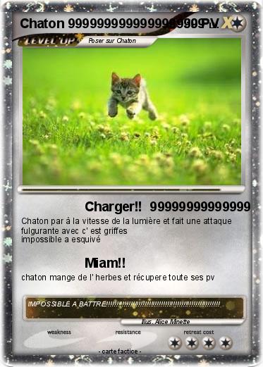 Pokemon Chaton 9999999999999999999
