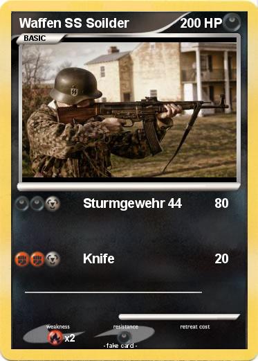 Pokemon Waffen SS Soilder