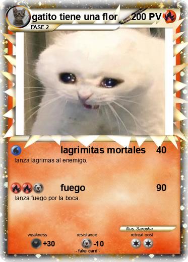 Pokemon gatito tiene una flor