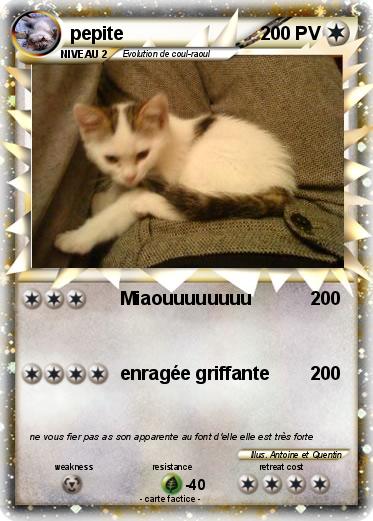 Pokemon pepite