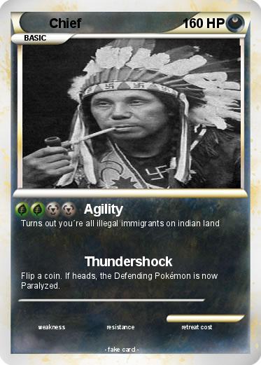 Pokemon Chief