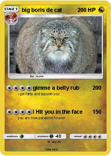 Pokemon big boris de cat