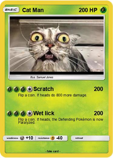 Pokemon Cat Man