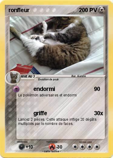 Pokemon ronfleur