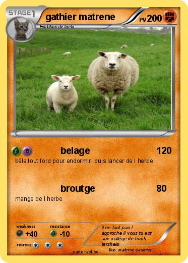 Pokemon gathier matrene