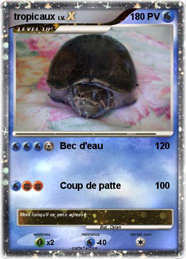 Pokemon tropicaux