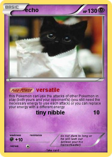 Pokemon echo