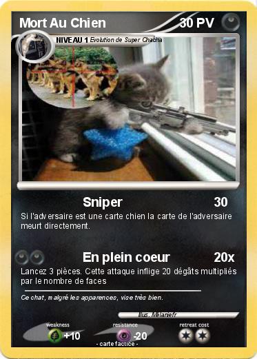 Pokemon Mort Au Chien