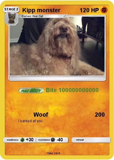 Pokemon Kipp monster