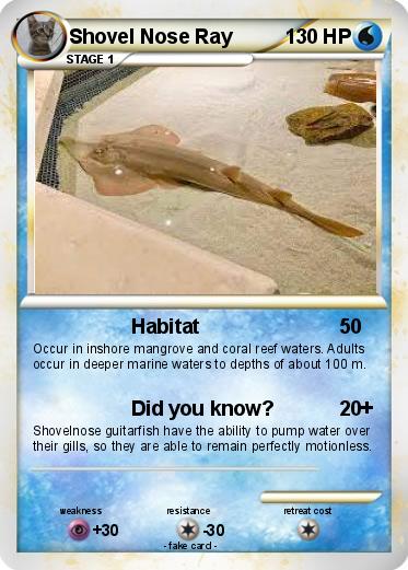 Pokemon Shovel Nose Ray