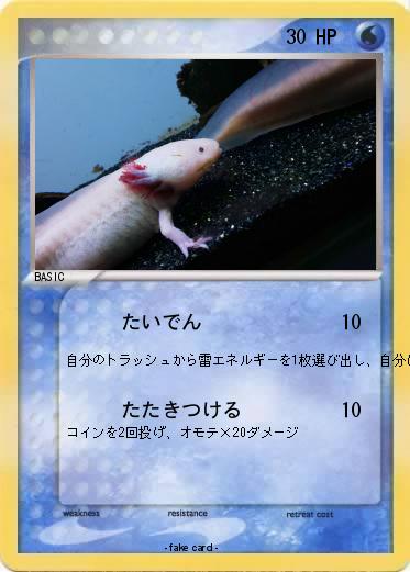 Pokemon ♡