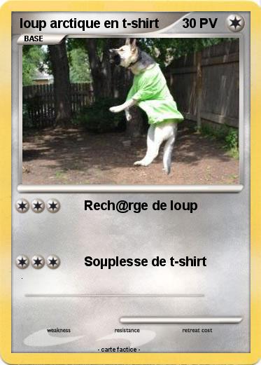 Pokemon loup arctique en t-shirt