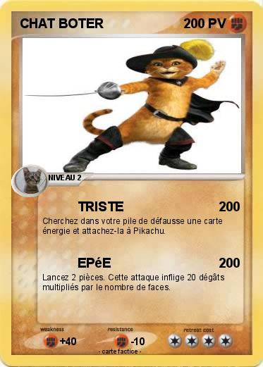Pokemon CHAT BOTER